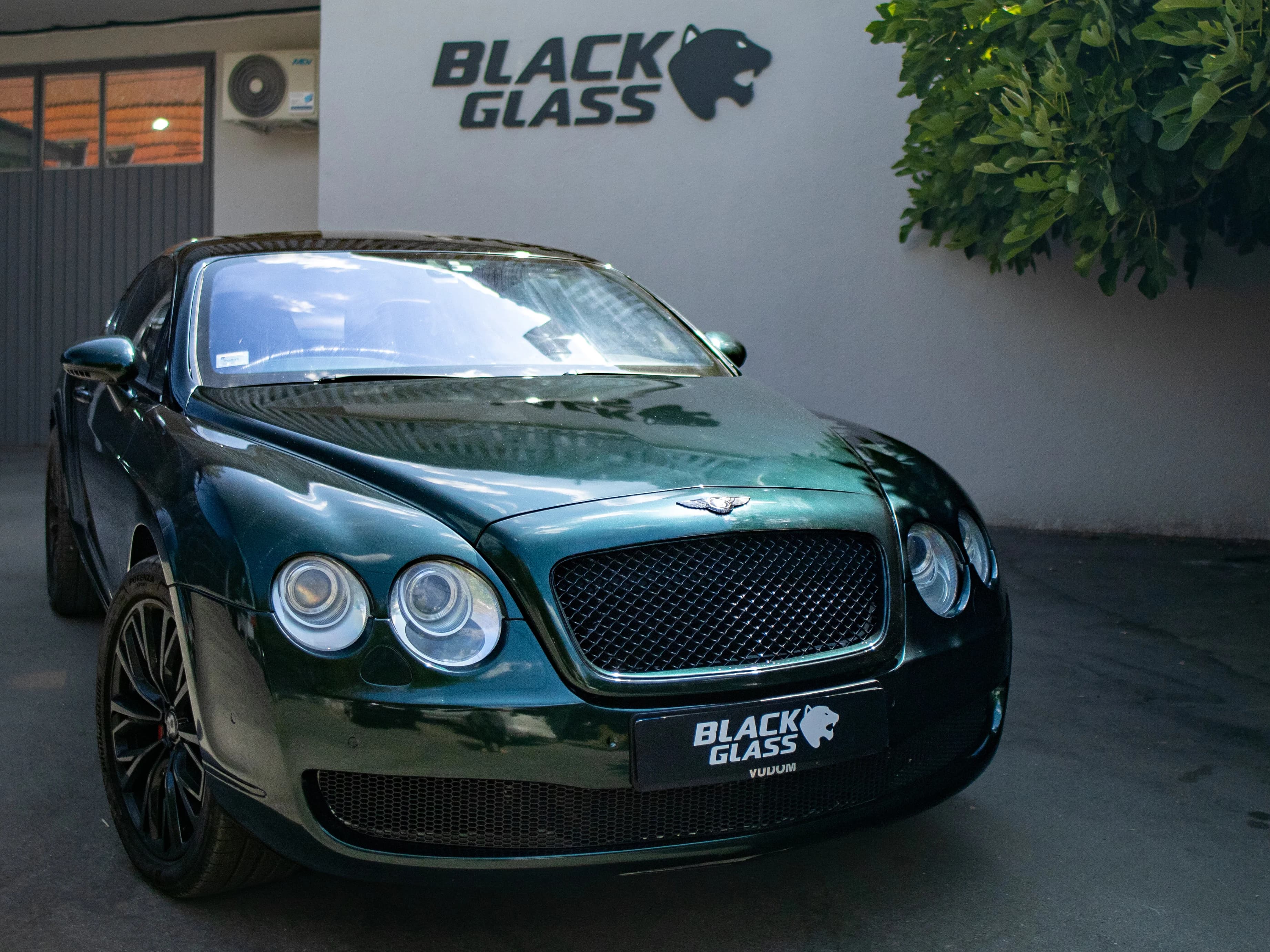Bentley Continental green