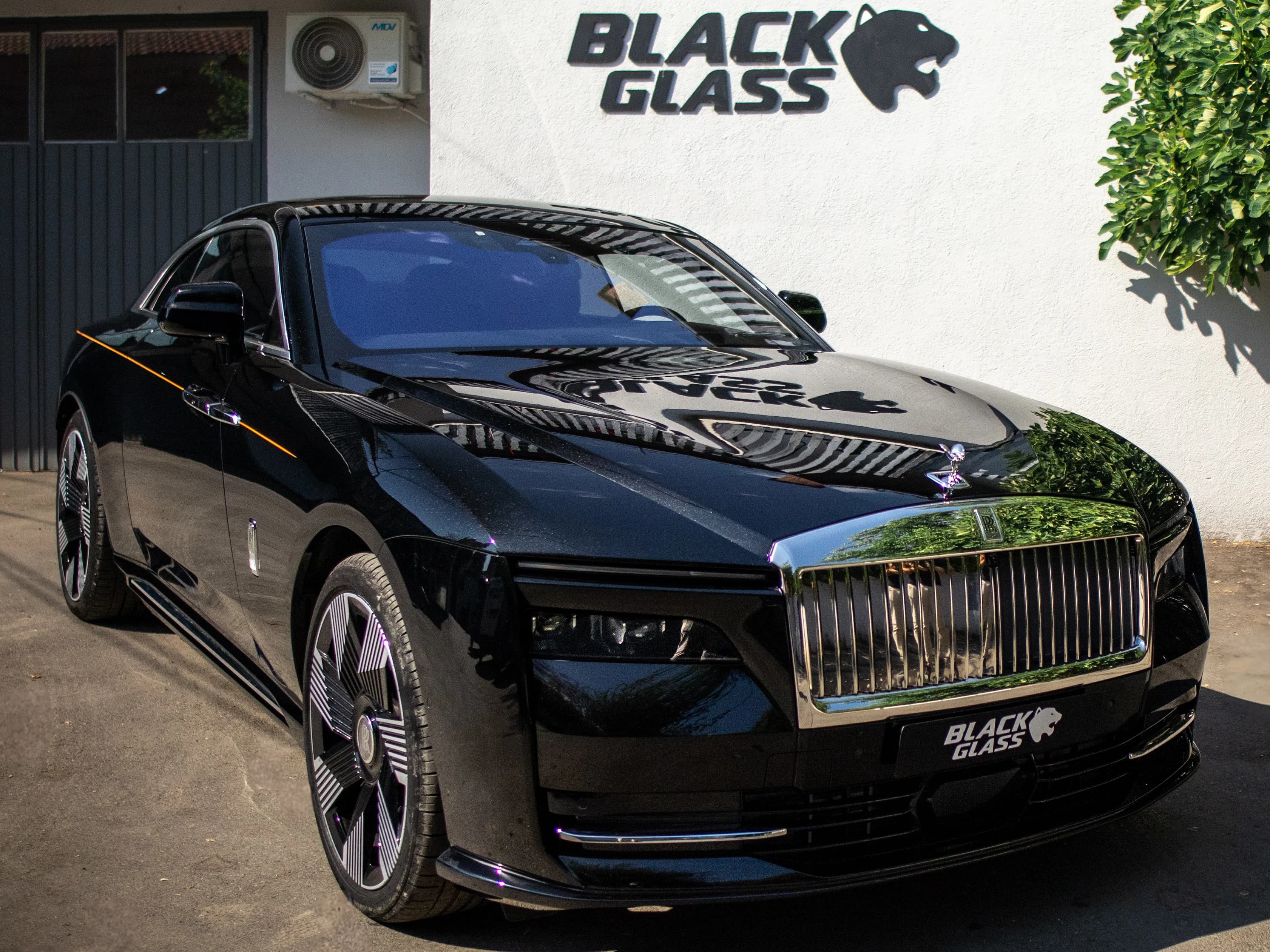 rr spectra